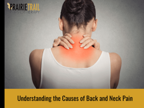 Understanding the Causes of Back and Neck Pain Injuries | Prairie Trail ...